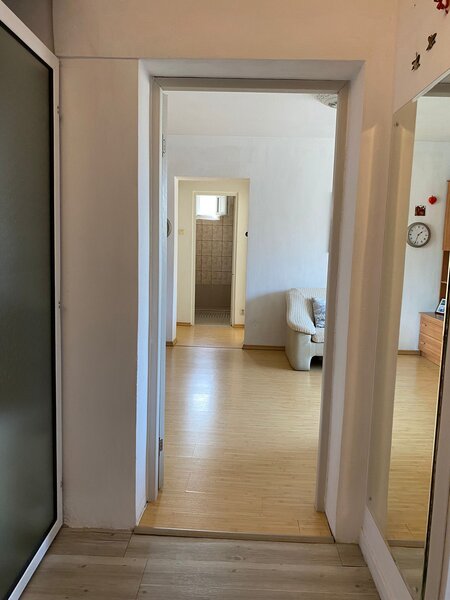 Pajura liceul Constantin Brancoveanu