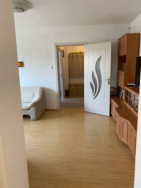 Pajura liceul Constantin Brancoveanu