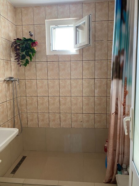 Pajura liceul Constantin Brancoveanu