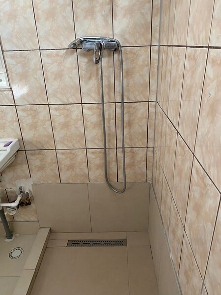 Pajura liceul Constantin Brancoveanu