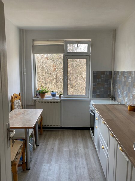 Pajura liceul Constantin Brancoveanu