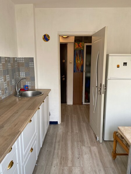 Pajura liceul Constantin Brancoveanu